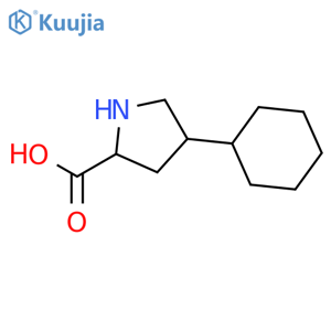 (2S,4S)-4-cyclohexylpyrrolidine-2-carboxylic acid structure