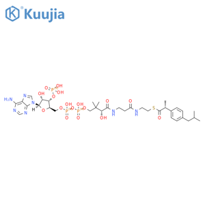 Coenzyme A, S-[(αR)-α-methyl-4-(2-methylpropyl)benzeneacetate] structure