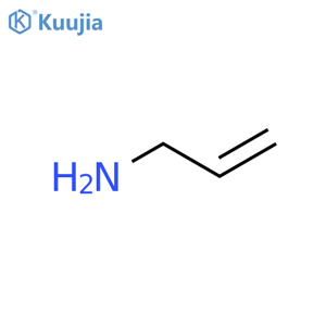 Allylamine structure