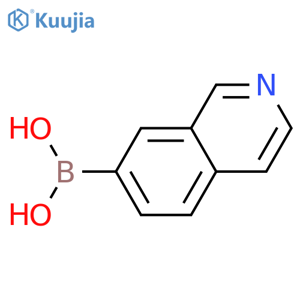 (isoquinolin-7-yl)boronic acid structure