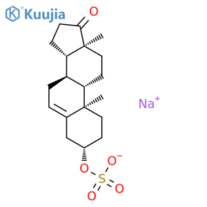 sodium prasteronesulfate structure