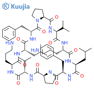 Gramicidin S structure