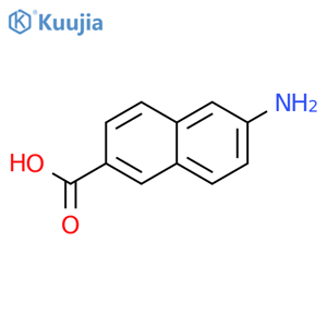 6-aminonaphthalene-2-carboxylic acid structure