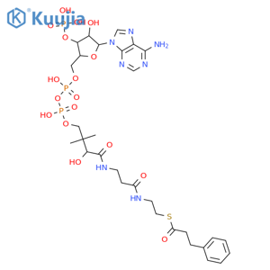 Coenzyme A, S-benzenepropanoate structure