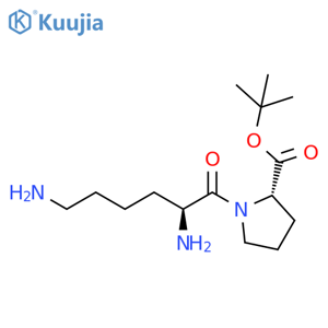 L-Proline, 1-L-lysyl-, 1,1-dimethylethyl ester (9CI) structure