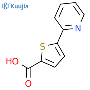 5-(Pyridin-2-yl)thiophene-2-carboxylic acid structure