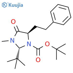 1-Imidazolidinecarboxylic acid, 2-(1,1-dimethylethyl)-3-methyl-4-oxo-5-(2-phenylethyl)-, 1,1-dimethylethyl ester, (2R-trans)- (9CI) structure