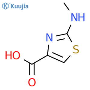 2-(methylamino)-1,3-thiazole-4-carboxylic acid structure