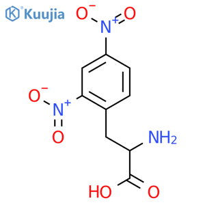 (2R)-2-amino-3-(2,4-dinitrophenyl)propanoic acid structure