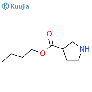 butyl pyrrolidine-3-carboxylate structure