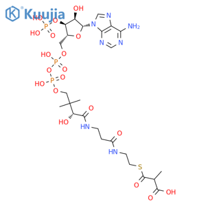 Coenzyme A, S-(hydrogen 2-methylpropanedioate) structure