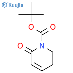 tert-butyl 6-oxo-1,2,3,6-tetrahydropyridine-1-carboxylate structure