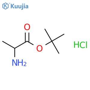 H-Ala-OtBu.HCl structure