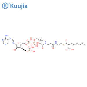 Coenzyme A, S-(hydrogen 2-hexylpropanedioate) structure