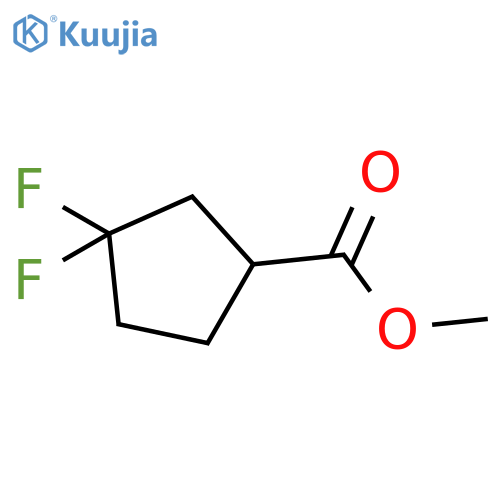 methyl 3,3-difluorocyclopentane-1-carboxylate structure