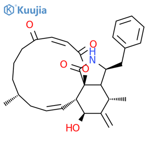 Cytochalasin A structure