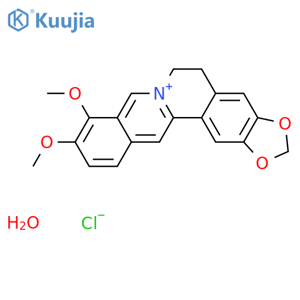 Berberine chloride hydrate structure