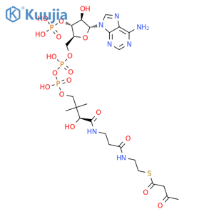 Coenzyme A, S-(3-oxobutanoate) structure