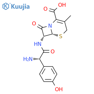 L-Cefadroxil structure