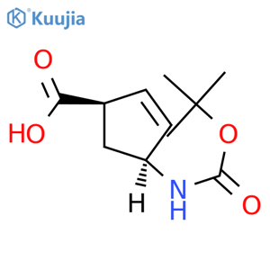 (1R,4S)-4-(tert-butoxycarbonylamino)cyclopent-2-ene-1-carboxylic acid structure