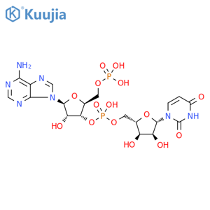 β-L-Uridine, 5'-O-phosphono-β-L-adenylyl-(3'→5')- structure