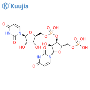 β-L-Uridine, 5'-O-phosphono-β-L-uridylyl-(3'→5')- structure