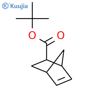 Tert-butyl Bicyclo2.2.1-5-heptene-2-carboxylate structure