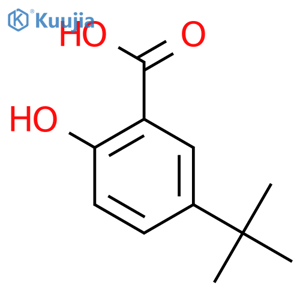 5-Tert-Butyl-2-hydroxybenzoic acid structure