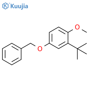 2-(1,1-Dimethylethyl)-1-methoxy-4-(phenylmethoxy)benzene structure