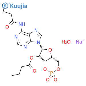 Bucladesine sodium structure