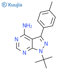 PP1 structure