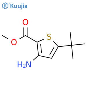 methyl 3-amino-5-tert-butylthiophene-2-carboxylate structure