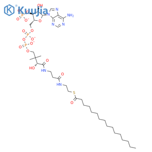 Coenzyme A, S-hexadecanoate structure