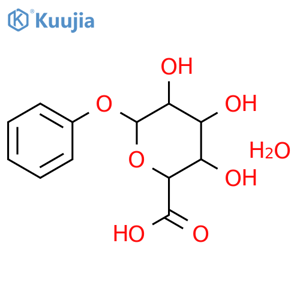 Phenyl b-D-Glucuronide structure