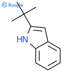 2-tert-Butylindole structure