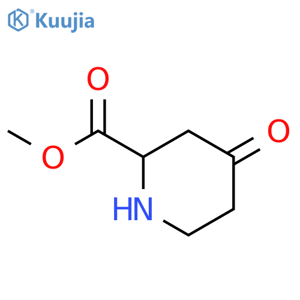 2-Piperidinecarboxylicacid, 4-oxo-, methyl ester structure