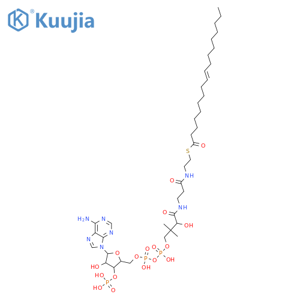 Coenzyme A,S-(9Z)-9-octadecenoate, monolithium salt (9CI) structure