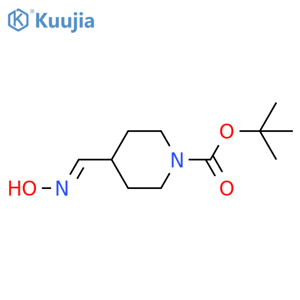 1,1-Dimethylethyl Ester 4-(Hydroxyimino)methyl-1-piperidinecarboxylic Acid structure