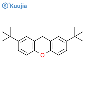 9H-Xanthene, 2,7-bis(1,1-dimethylethyl)- structure