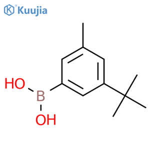 3-t-Butyl-5-methylphenylboronic acid structure