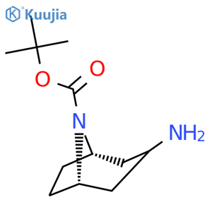 tert-butyl endo-3-amino-8-azabicyclo[3.2.1]octane-8-carboxylate structure