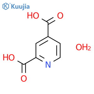 2,4-Pyridinedicarboxylic acid monohydrate structure