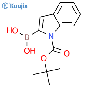 N-Boc-indole-2-boronic acid structure