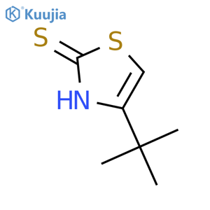 2(3H)-Thiazolethione,4-(1,1-dimethylethyl)- structure