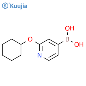 2-(Cyclohexyloxy)pyridine-4-boronic acid structure