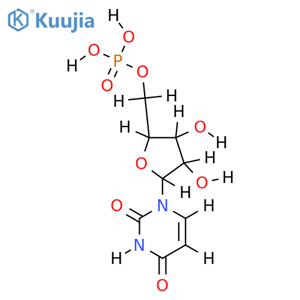 [5']uridylic acid structure