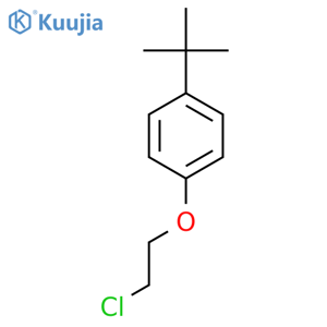 1-Tert-butyl-4-(2-chloroethoxy)-benzene structure