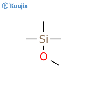 Methyl, [(trimethylsilyl)oxy]- structure