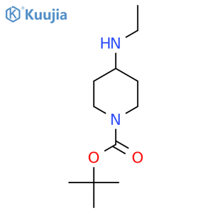 tert-butyl 4-(ethylamino)piperidine-1-carboxylate structure