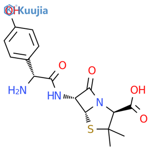 Amoxicillin structure